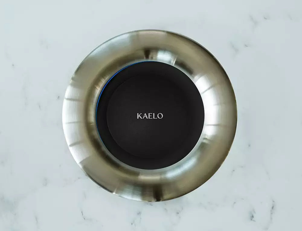 KAELO integrierter Champagner/Weinkühler Edelstahl gebürstet 300mm x 160mm